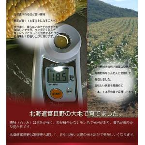 とうもろこし 訳あり 10本 恵味 Lサイズ ...の詳細画像5