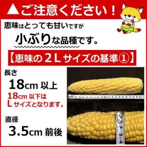 とうもろこし 生で食べれる 恵味 10本 2L...の詳細画像4