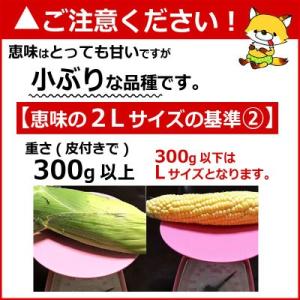 とうもろこし 生で食べれる 恵味 10本 2L...の詳細画像5