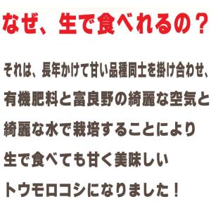 とうもろこし 生で食べれるトウモロコシ 北海道...の詳細画像4