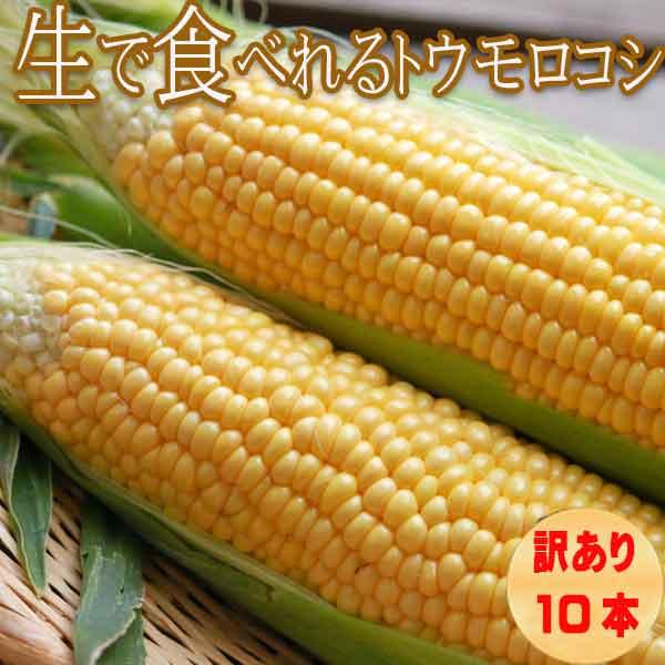 とうもろこし 北海道 富良野産 訳あり 恵味 めぐみ Mサイズ 10本入