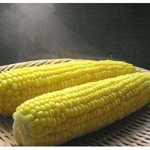 とうもろこし 北海道 富良野産 訳あり 恵味 ...の詳細画像1