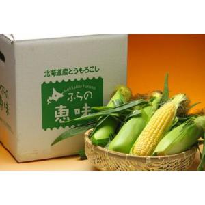 とうもろこし 北海道 富良野産 訳あり 恵味 ...の詳細画像2