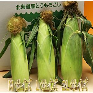 とうもろこし 訳あり 10本 恵味 北海道 富...の詳細画像5
