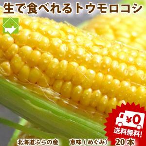 とうもろこし　北海道富良野産　恵味　L〜2Lサイズ　20本入　　別途送料が発生する地域があります