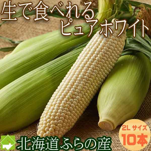 とうもろこし 北海道富良野産 ピュアホワイト 2Ｌサイズ 10本入り 送料無料