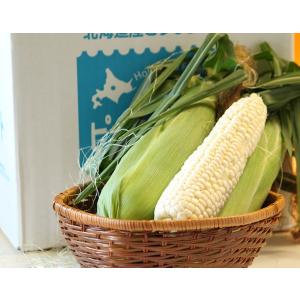 とうもろこし ピュアホワイト 10本 北海道 ...の詳細画像3