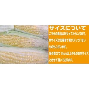 とうもろこし 訳あり ピュアホワイト 10本 ...の詳細画像2