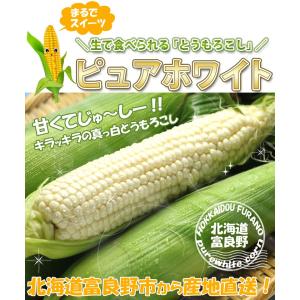 とうもろこし 訳あり ピュアホワイト 10本 ...の詳細画像4