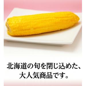 とうもろこし 北海道産 真空パック 国産 スイ...の詳細画像3