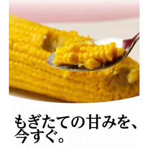 とうもろこし 北海道産 真空パック 国産 スイ...の詳細画像4