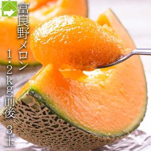 メロン ふらのメロン 北海道富良野産 赤肉メロン 特大 3Lサイズ 2玉