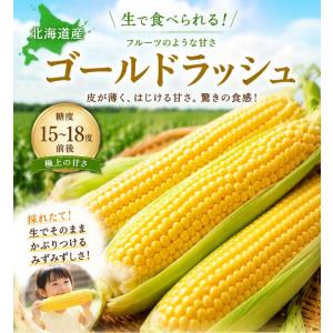 とうもろこし ゴールドラッシュ 10本 北海道...の詳細画像1