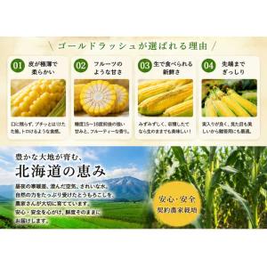 とうもろこし ゴールドラッシュ 10本 北海道...の詳細画像2