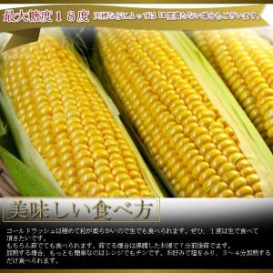 とうもろこし ゴールドラッシュ 10本 北海道...の詳細画像4