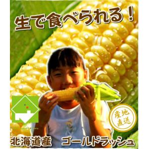 とうもろこし ゴールドラッシュ 10本 北海道...の詳細画像5