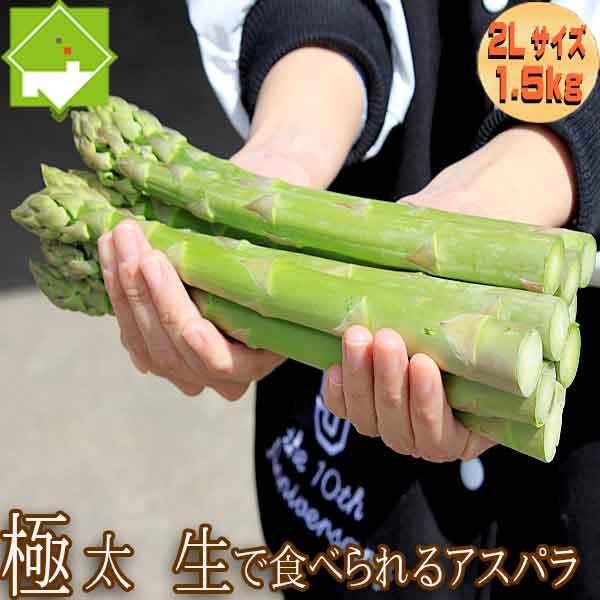 アスパラガス 北海道 グリーン アスパラ 極太 ２Lサイズ 1.5kg 富良野産 送料無料