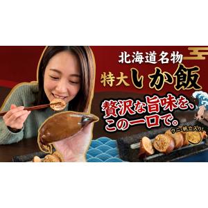 北海道 いかめし 特大 2L いか大漁めし 2...の詳細画像2
