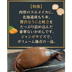 北海道 いかめし 特大 2L いか大漁めし 2...の詳細画像3