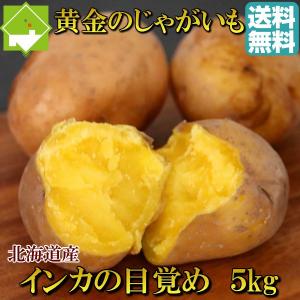 じゃがも 北海道産 インカのめざめ 5kg　　別途送料が発生する地域あり