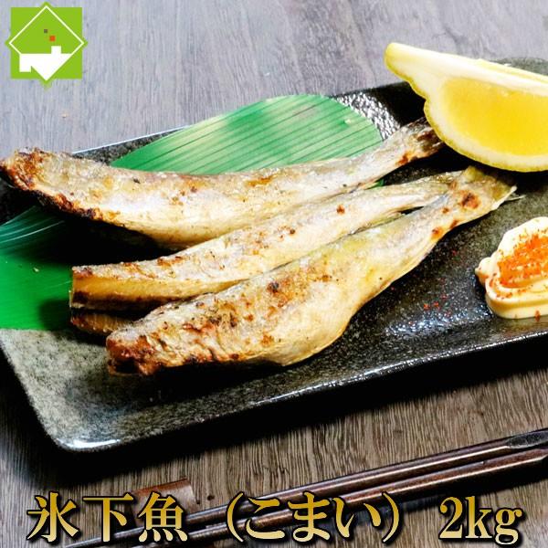 こまい 一夜干し 生干し 北海道産 2kg 送料無料 氷下魚（こまい） 別途送料が発生する地域あり