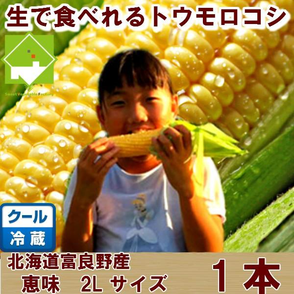 生で食べれるとうもろこし　恵味　２Ｌサイズ　１本入り　北海道富良野産