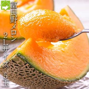 2024年ご予約販売 ふらのメロン 2Lサイズ 5玉入り　北海道ふらの産　送料無料｜sweetvegetable