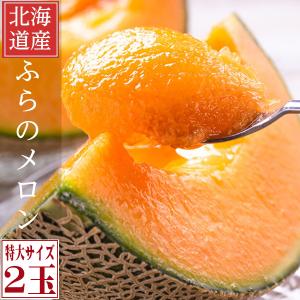 メロン マスクメロン 北海道 富良野メロン 特大3Lサイズ 2kg以上 1玉