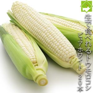 とうもろこし ピュアホワイト 北海道富良野産 2...の商品画像