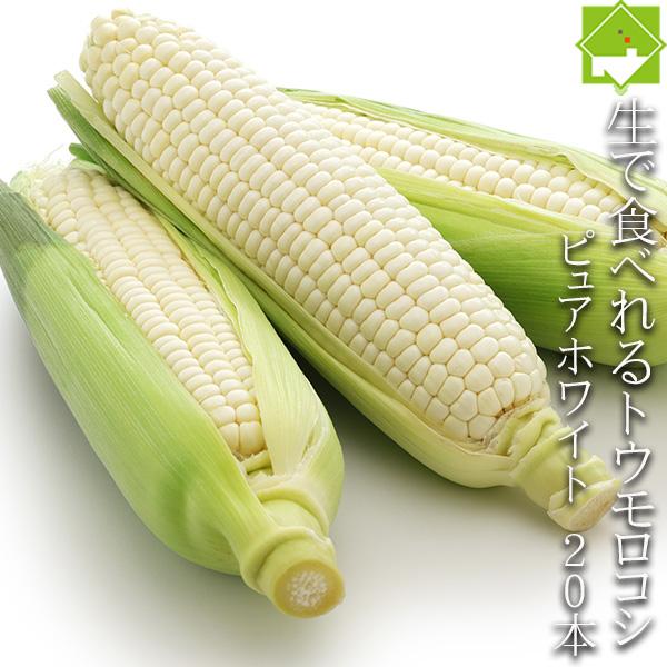 とうもろこし　ピュアホワイト　北海道富良野産　20本入り(M〜２L込）　送料無料