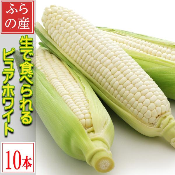 生で食べられるトウモロコシ　北海道富良野産　ピュアホワイト　10本入り　送料無料　ハウス栽培　7月発...