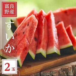 すいか スイカ 西瓜 北海道 富良野産 特大スイカ 4Lサイズ 8kg以上 1