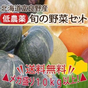 北海道富良野産　低農薬 野菜セット（10kg）基本内容：ゆり根・男爵・玉ねぎ・レッドムーン　【送料無...