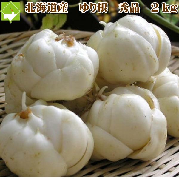 ゆり根 北海道富良野産　秀品　百合根 2kg 送料無料