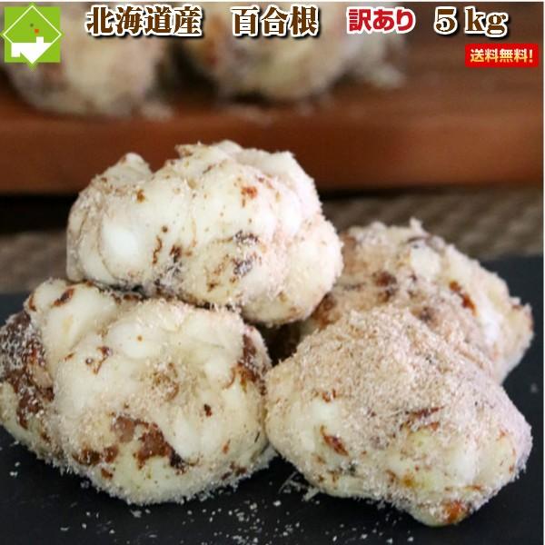 ゆり根 北海道富良野産　訳あり　百合根　５ｋｇ 送料無料