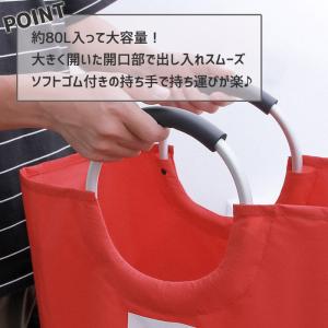 [2点で700円OFFクーポン]ランドリーバス...の詳細画像2