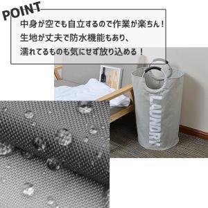 [2点で700円OFFクーポン]ランドリーバス...の詳細画像4