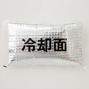 AITOZ アイトス アイスパック(1個)(日本製) シルバー 865933 熱中症対策 2点までネコポス対応