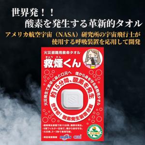 防煙マスク 火災マスク 一酸化炭素 『FIRE ESCAPE MASK』 2個入り (OA