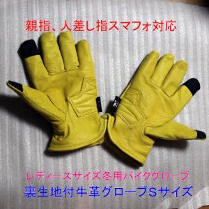 チャレンジャー　裏起毛グローブ　Lサイズ 51mGO1SURAL.jpg