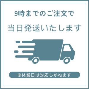 ライフリー ズレずに安心 尿とりパッド 超うす...の詳細画像2