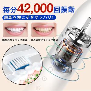 爆買 2点で200円OFF! 即納 電動歯ブラ...の詳細画像5