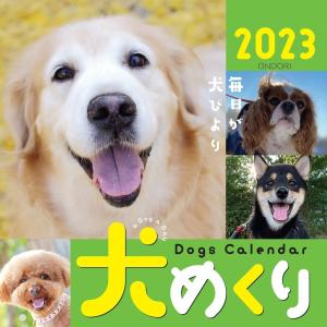 シーオーツー 犬めくり 2023年 カレンダー 日めくり CK-D23-01