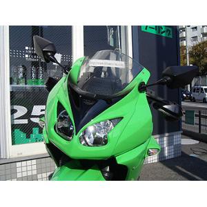 Ninja250R 08〜12　フェイスパネル　Type-2　プレジャー｜switch4