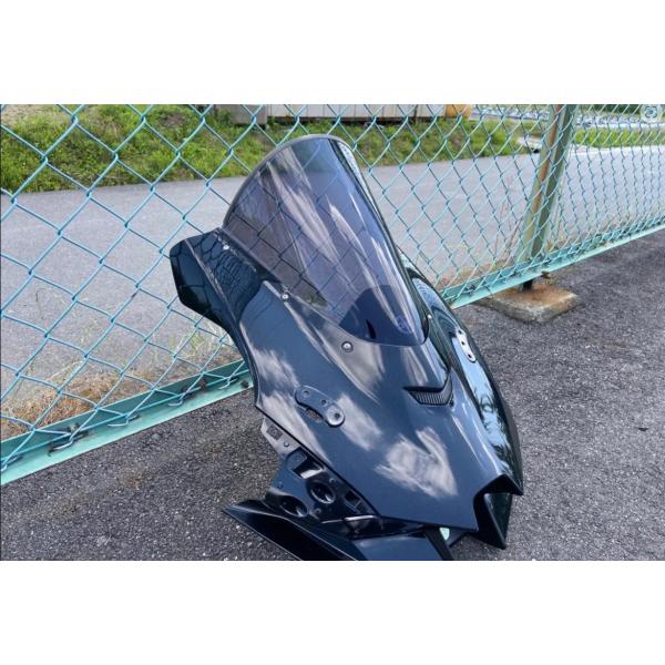 アクリポイント　ZX-10R（ZX10R） 21〜　スモークスクリーン