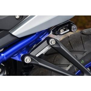 ショートリアフェンダー （ルーカスタイプテールライト付） ペイトン