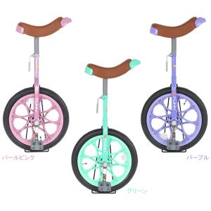 21テクノロジー IR160 Uni Cycle 16インチ re-502