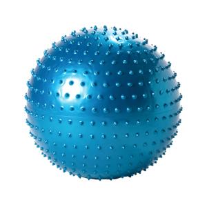 テクノジム アクティブシッティング バランスボールチェア 55cm