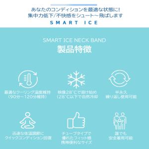 在庫限り! ネッククーラー 首掛け 羽なし 冷...の詳細画像2