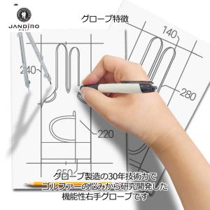 ゴルフグローブ メンズ 右手 レディース グリ...の詳細画像5